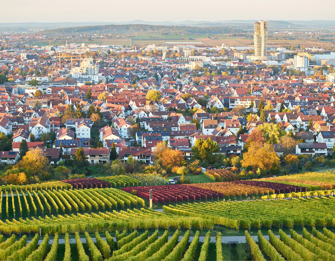 Blick vom Kappelberg über Fellbach und die Weinberge